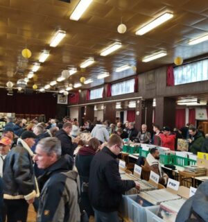 IMG_20200229_101905_5-1